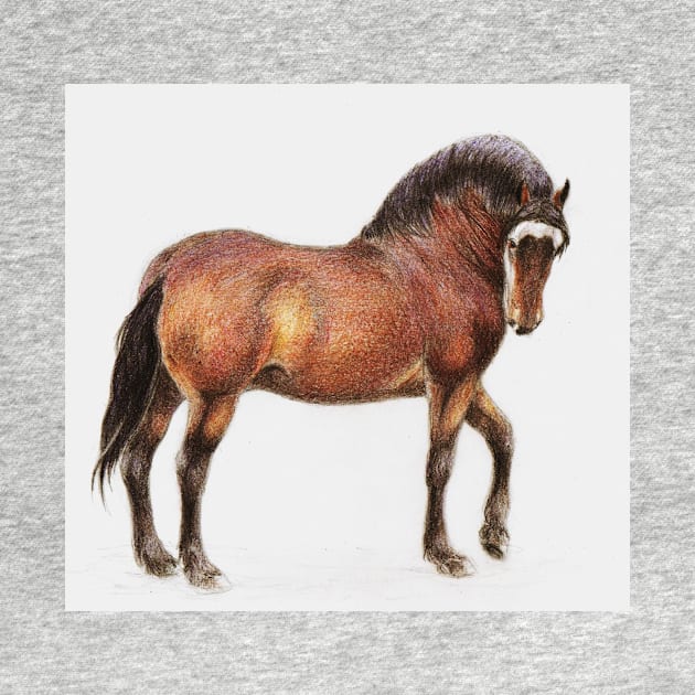 Welsh stallion in colored pencil by KJL90